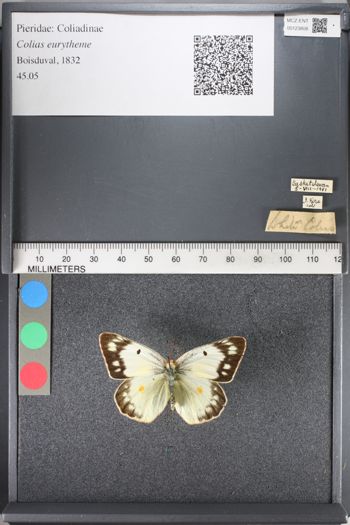 Media type: image;   Entomology 123808